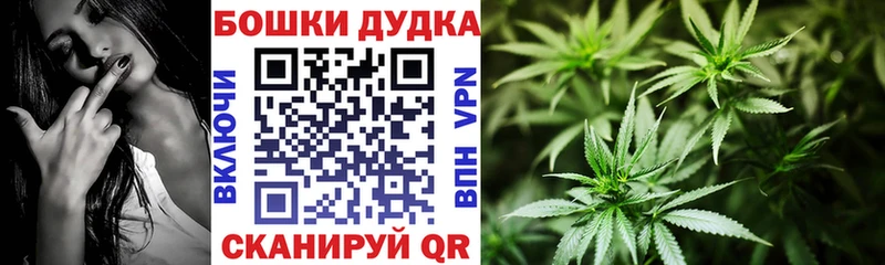Канабис SATIVA & INDICA  Пикалёво 